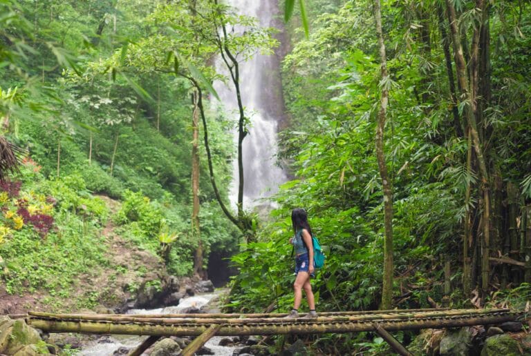 Jungle Trekking