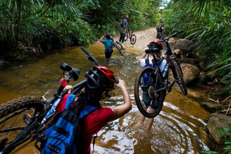 bike insigh
