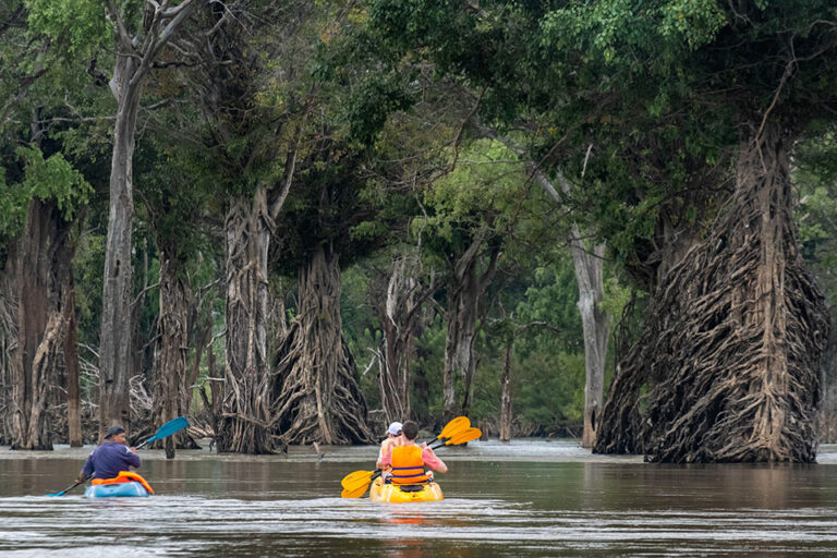 Kayak-through-the-Mekong-flooded-forests